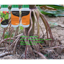 Root Promoter Liquid Aminoroot Fertilizer Drip Irriagtion